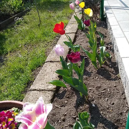 La Casa Di Rina بيت للعطل