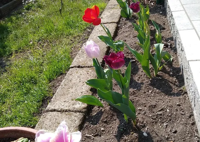 La Casa Di Rina 펜션